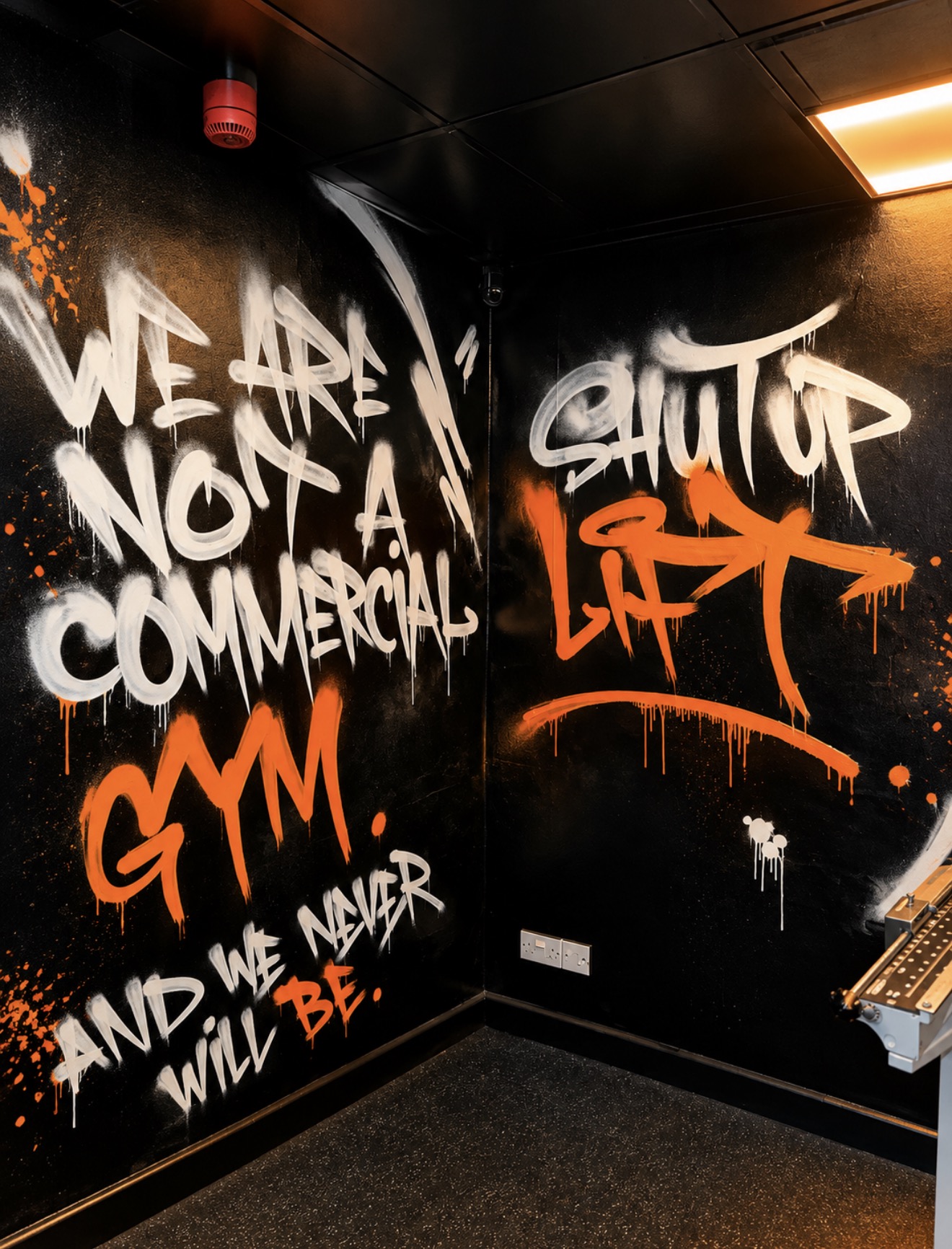 Inside Steel Gyms, photo 7